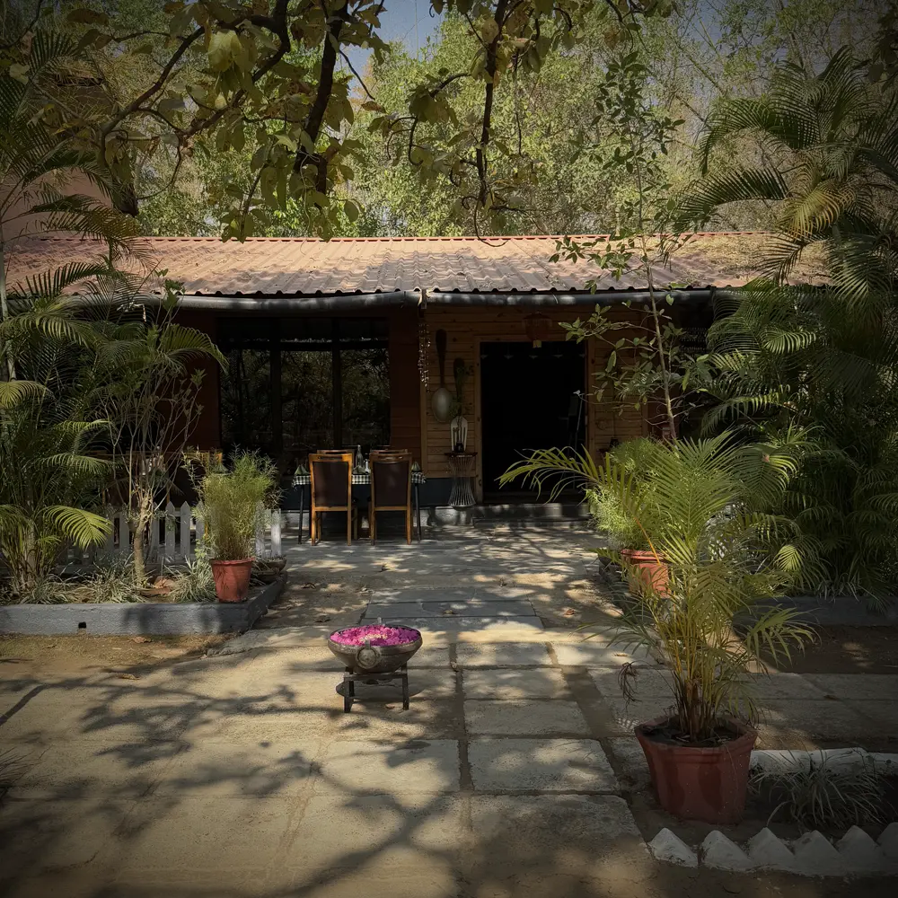 Jungle camp lodge patio amidst nature