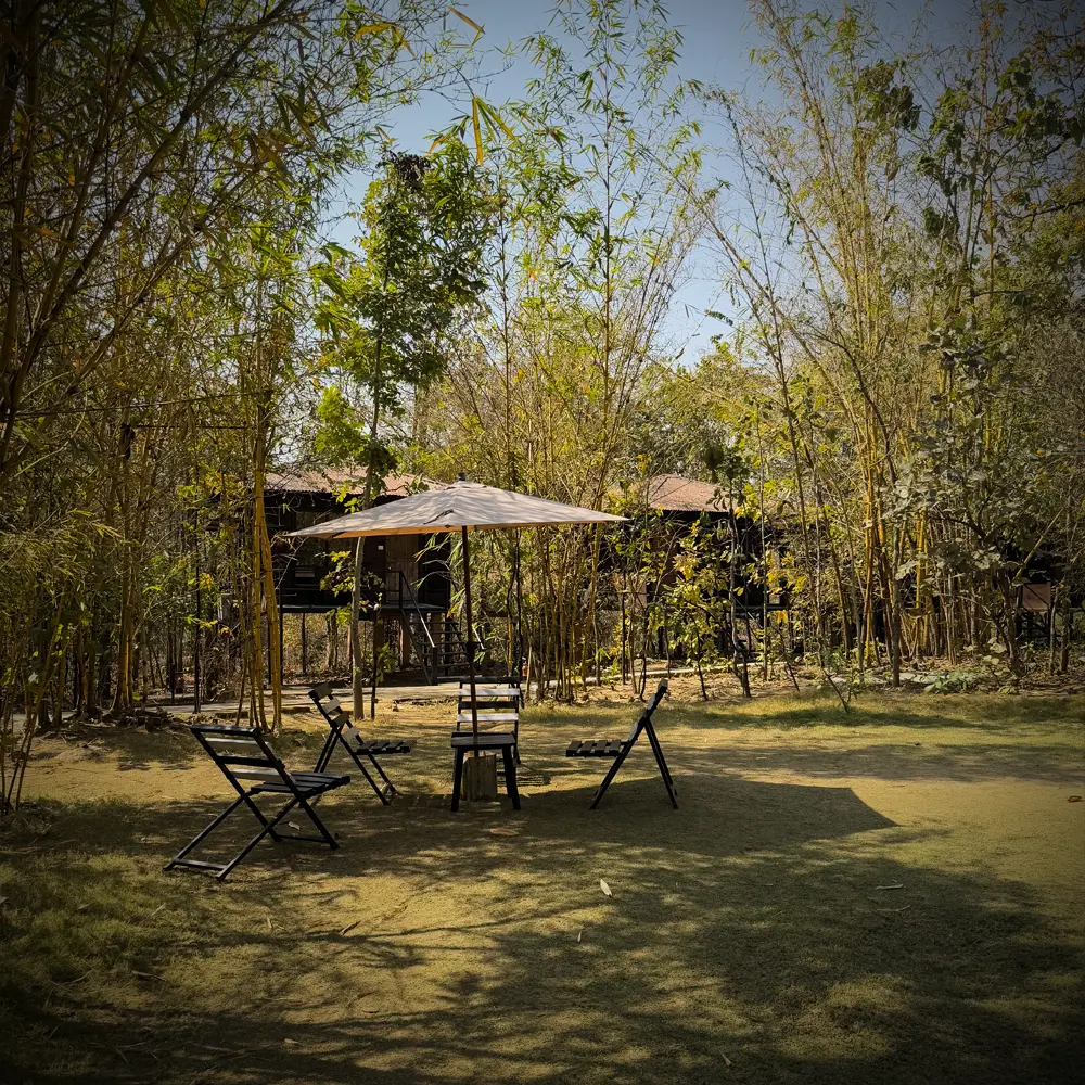 Outdoor seating area at a jungle safari camp