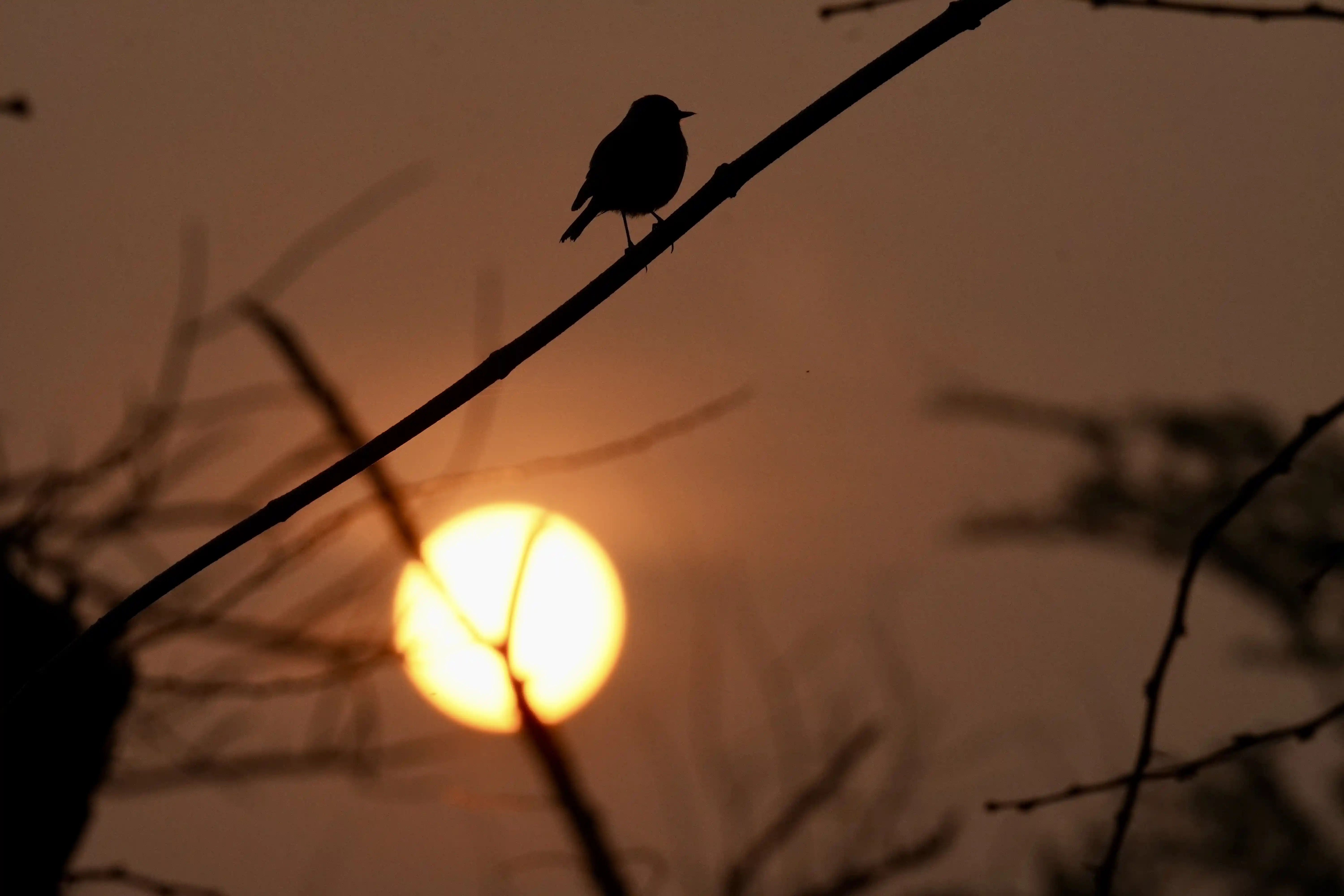 Pench Tiger Reserve