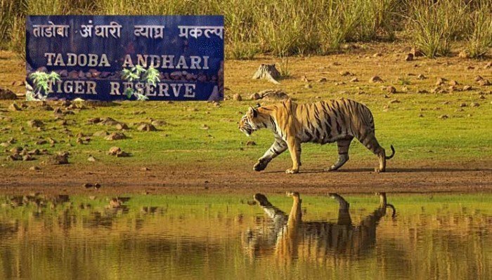 Tadoba-Andhari Tiger Reserve signboard
